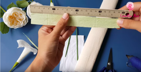 Measure-stigma-of-paper-calla-lily