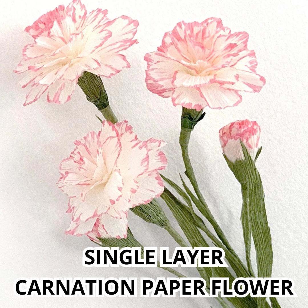 step-by-step-guide-to-crafting-carnation-paper-flowers-5