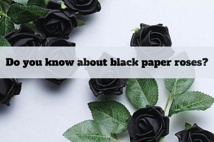 Black paper roses image