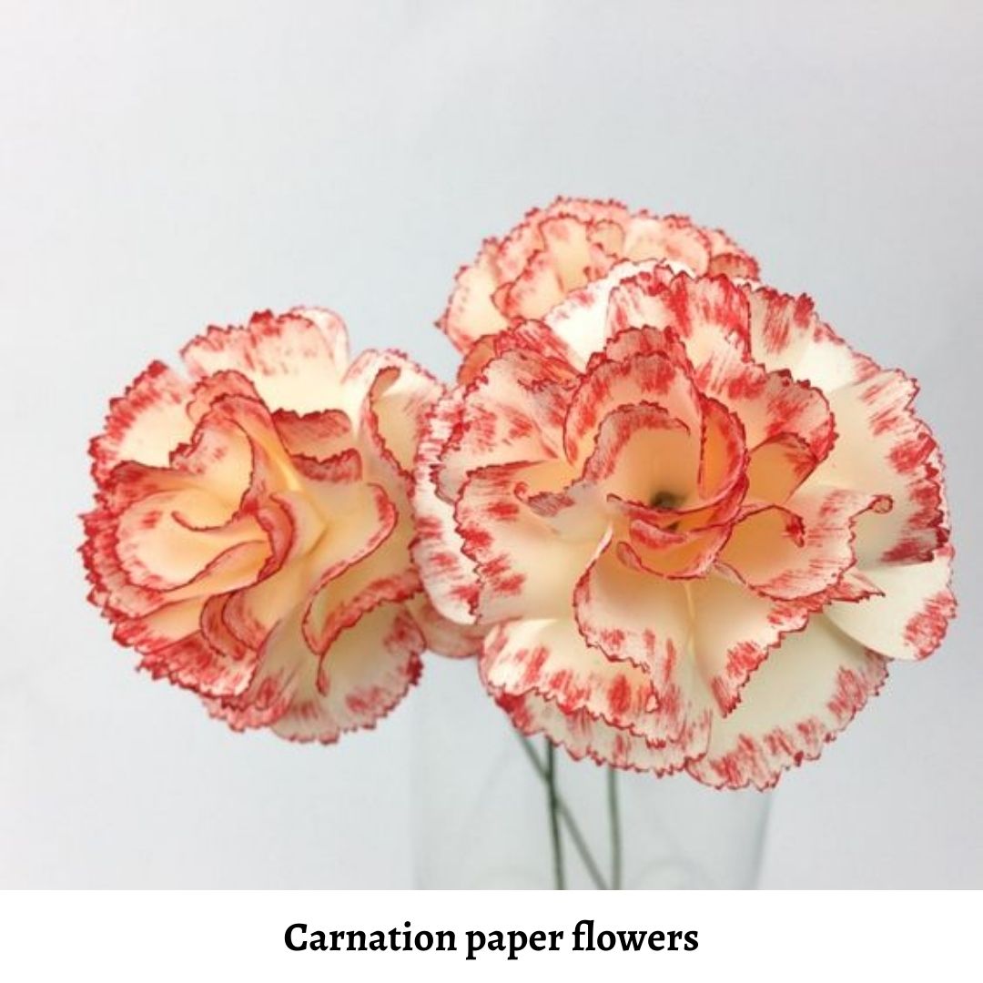 celebrating-1st-anniversary-with-carnation-paper-flowers-2