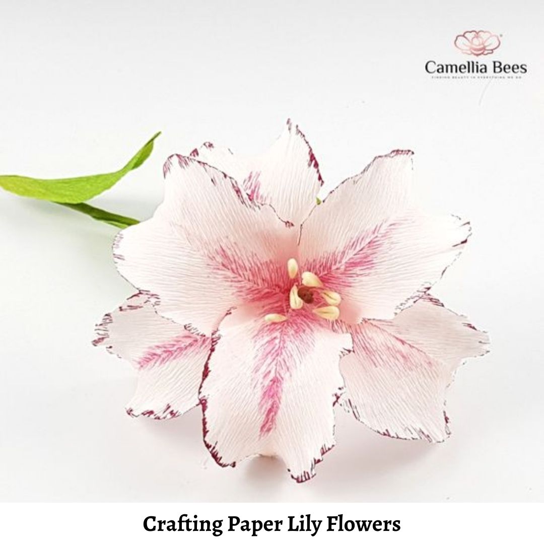 the-versatility-of-pretty-paper-lily-flowers-5