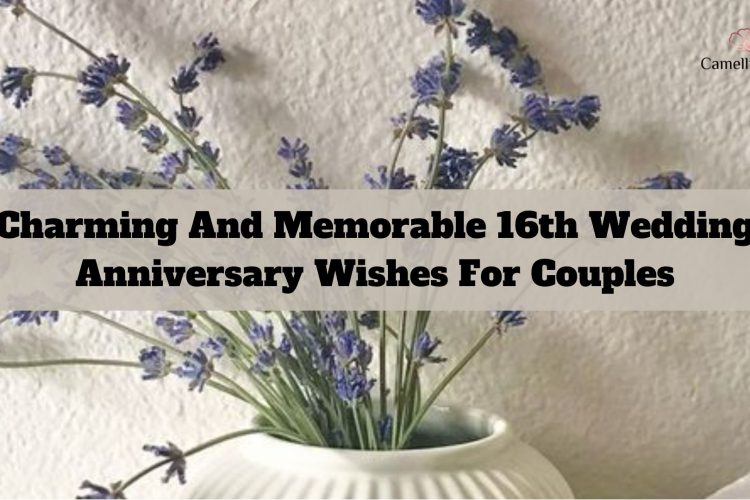 memorable-16th-wedding-anniversary-wishes-for-couples-1