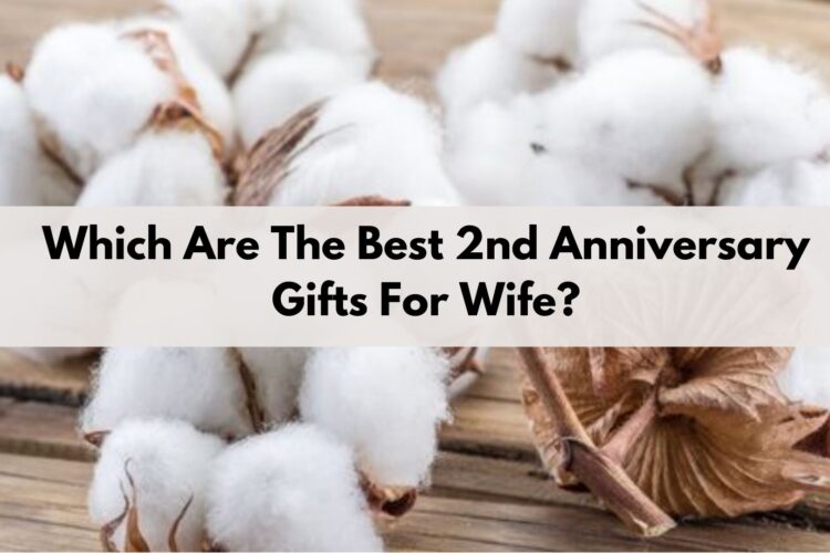 which-are-the-best-2nd-wedding-anniversary-gifts-for-wife-1