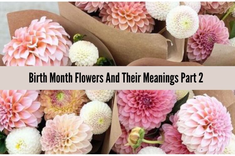 birth-flowers-by-month-and-their-meanings-part-2-1